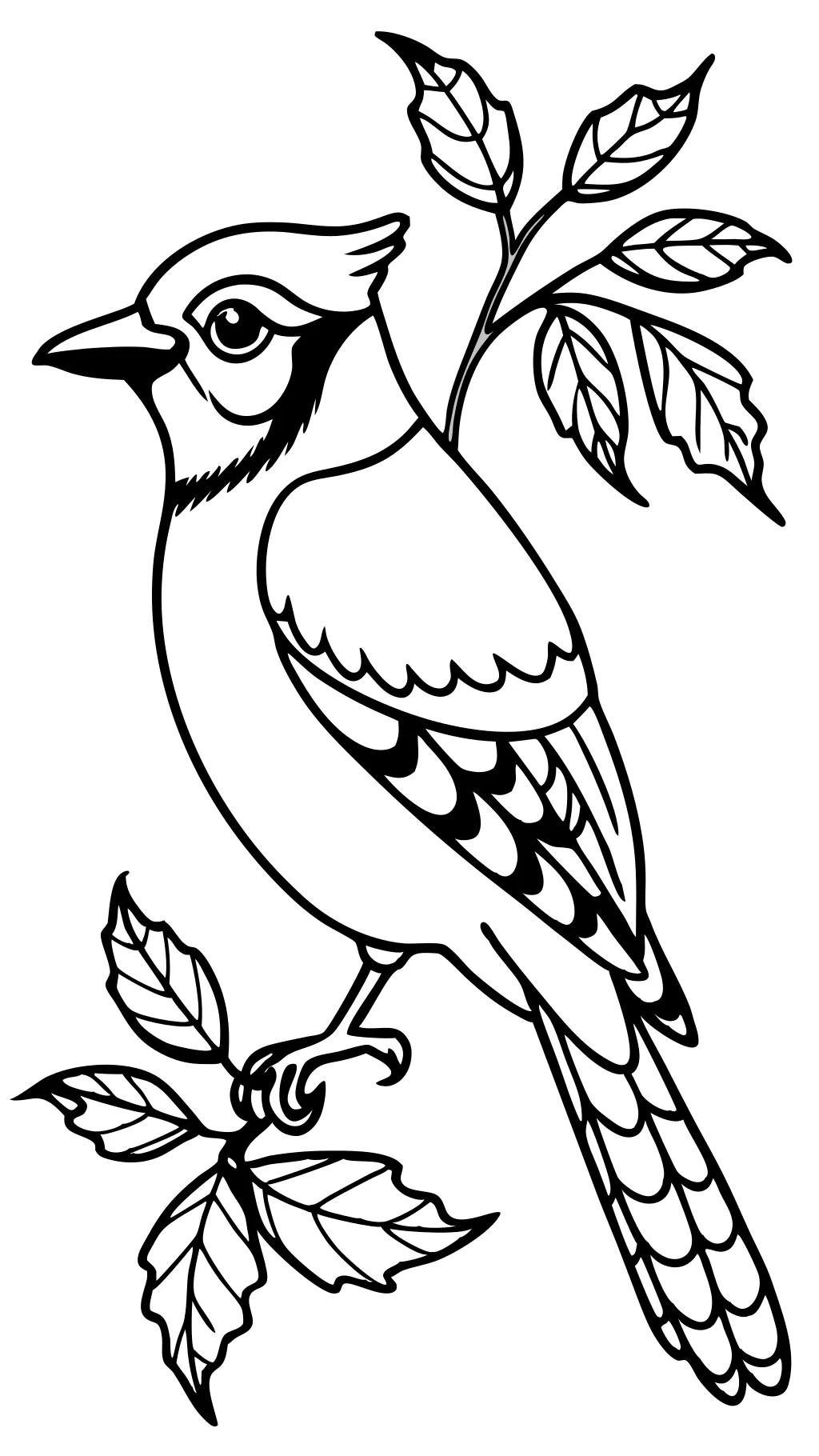 blue jay coloring page